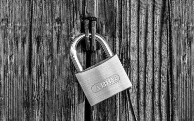 LA PRIVACIDAD EN LA ERA IA: NO ES TODO ROSA